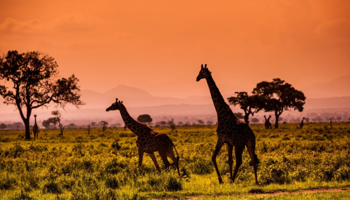 جاذبههای گردشگری