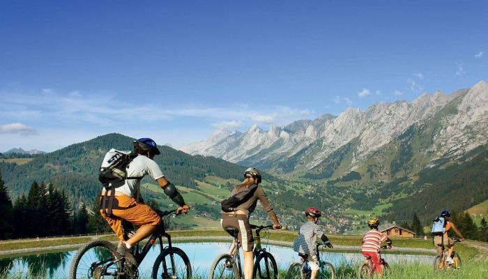 خدمات معمول تورهای ورزشی