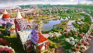 طراحی و ساختار باغ گل دبی