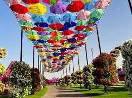 جاذبهها و فعالیتهای موجود در باغ