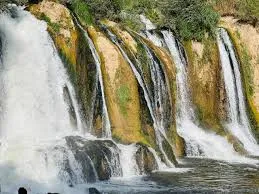 اکوسیستم و حیاتوحش آبشار مرادیه