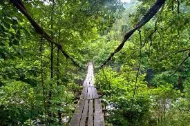 تنوع زیستی و جاذبه‌های طبیعی پارک ملی متیرالا