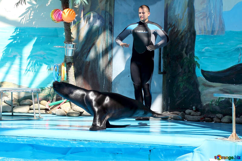 پارک دلفین‌ ها و تجربه نزدیک با حیوانات